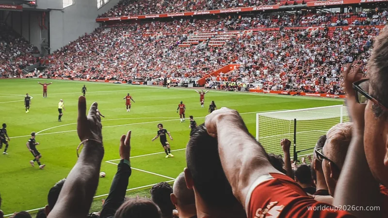 a crowd of people watching a soccer game