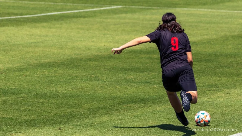 a person kicking a soccer ball on a field