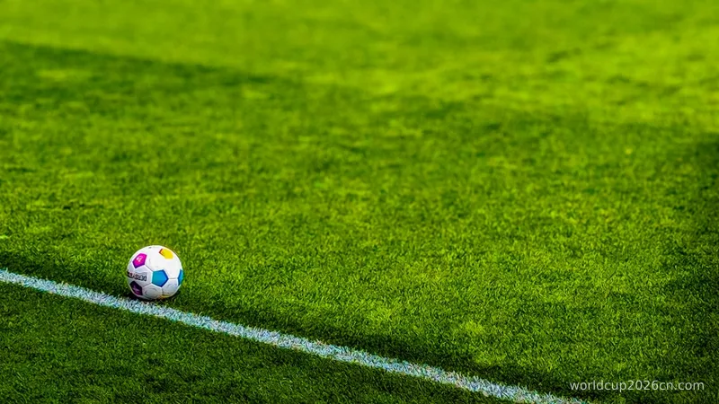 a soccer ball sitting on top of a soccer field