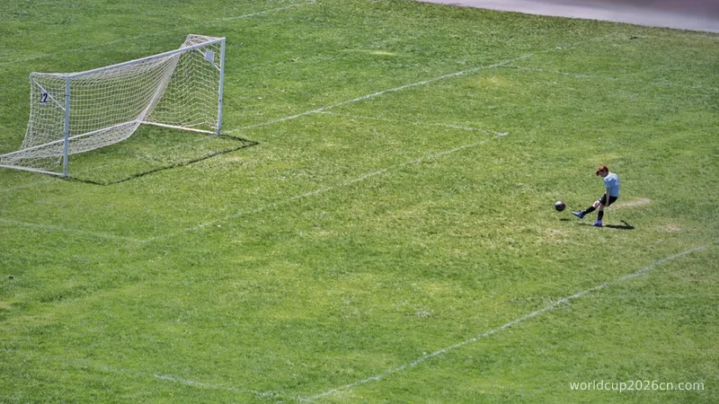person kicking ball near white goalpost