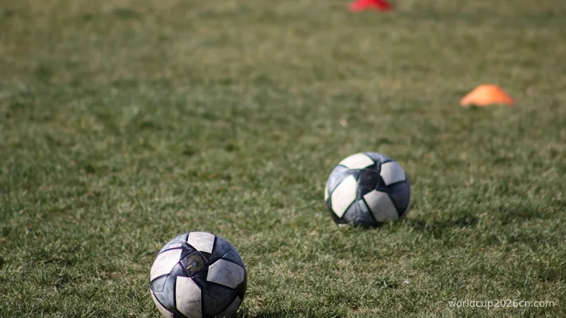 a couple of football balls on the grass