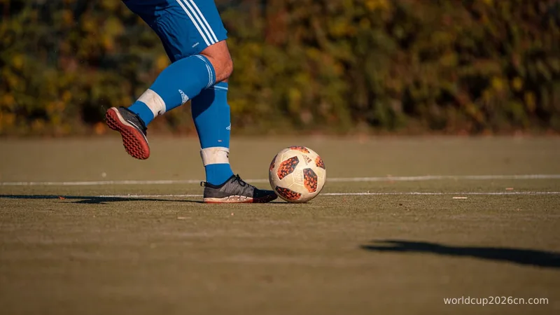 a person kicking a soccer ball on a field