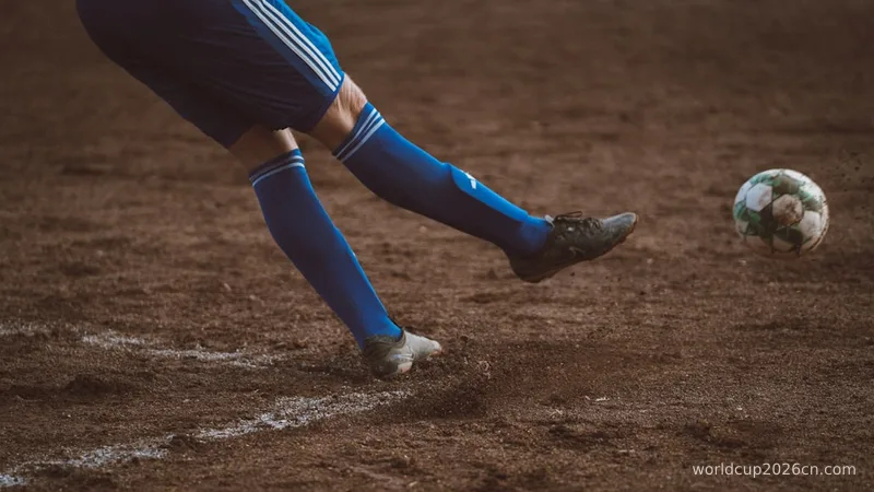 A person kicking a soccer ball on a field