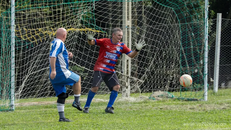 Goalkeeper saves a soccer ball near the goal