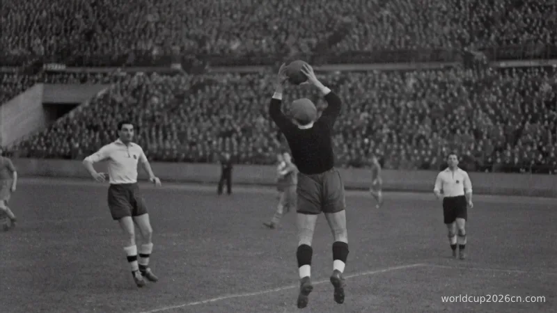 man throwing the ball on the field photograph