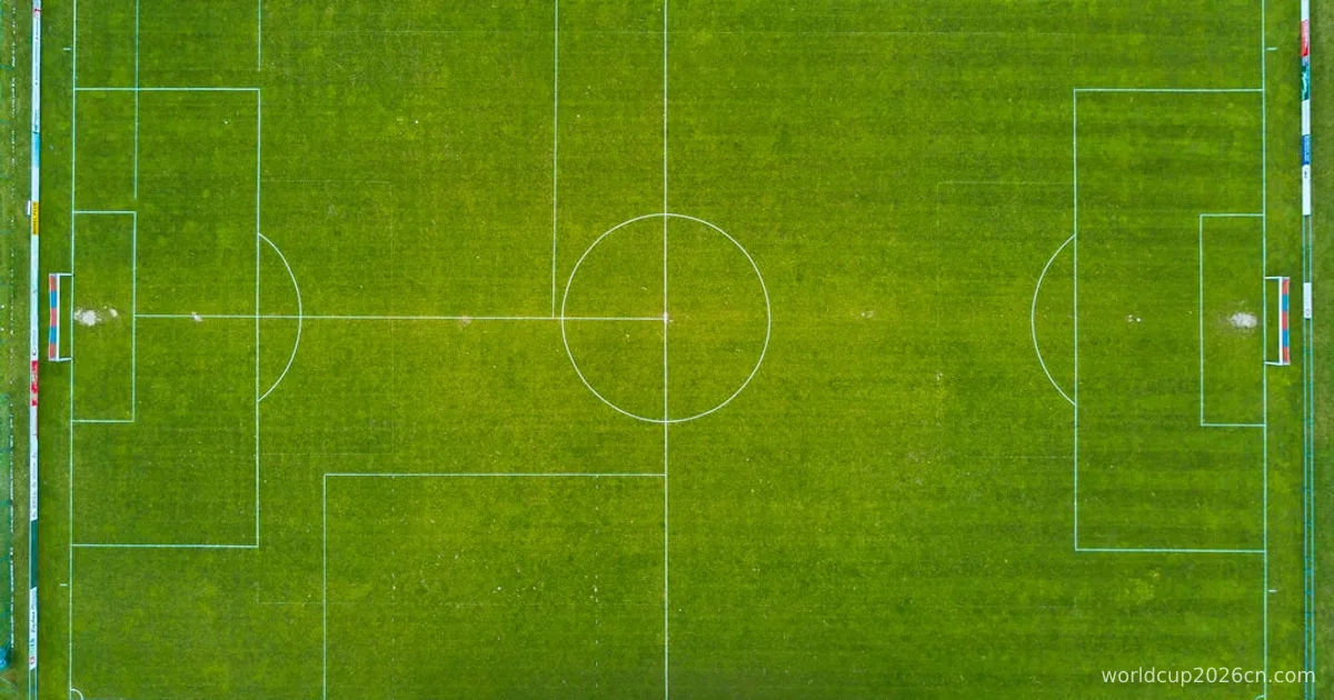 aerial photo of soccer field