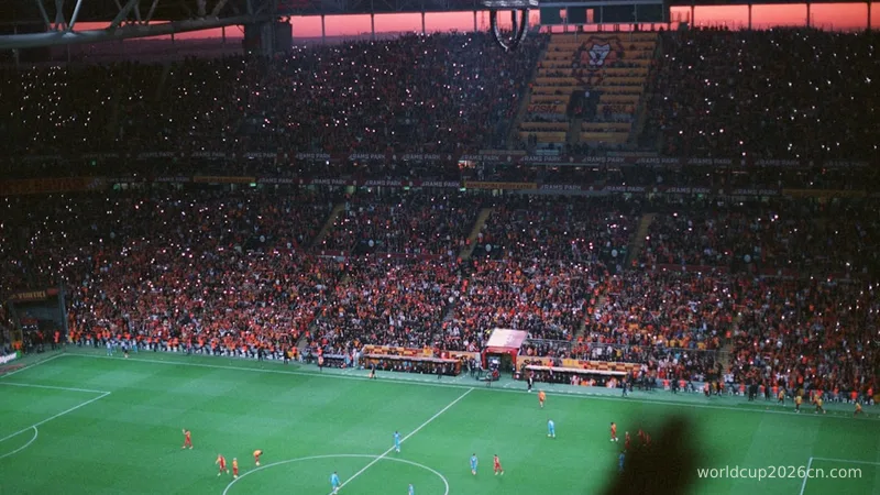 A crowd of people watching a soccer game