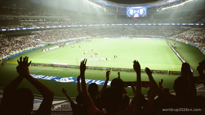 A crowd of people at a soccer game